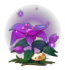 紫色花