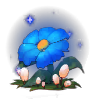 蓝色花