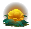 金色花